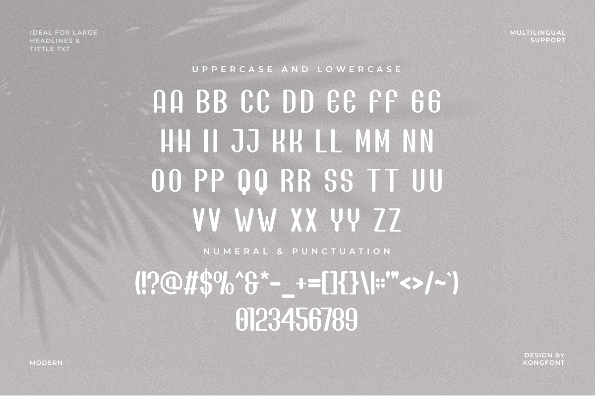 Pearce Modern Classy Sans Serif Font - Image 5