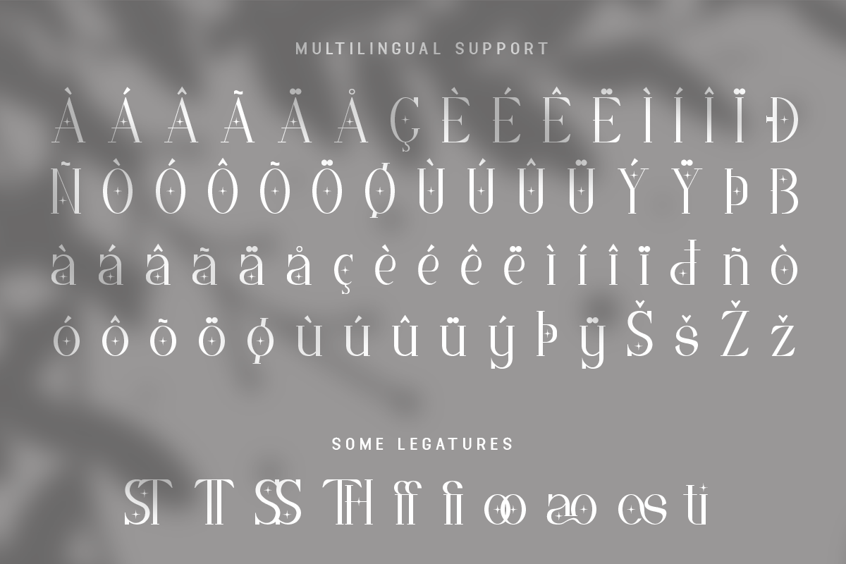 Costivex Modern Classy Serif Font - Image 6