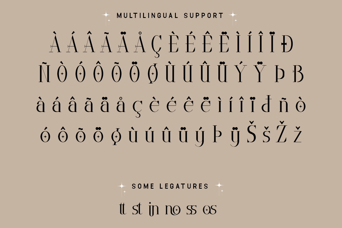 Cosline Modern Classy Serif Font - Image 6