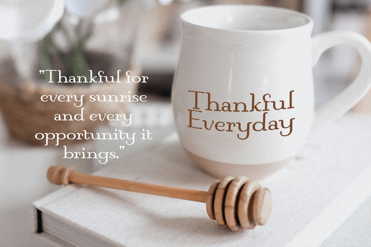 Cemora Modern Classy Unique Serif Font - Image 4