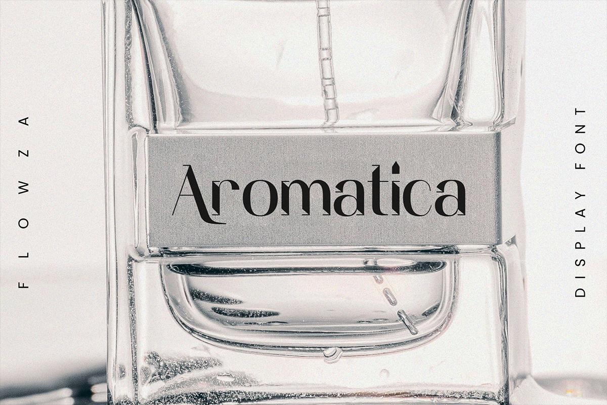 Flowza Modern Classy Unique Sans Serif Font - Image 4