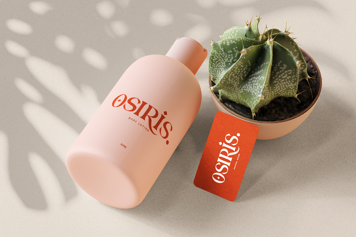 Clarissa Modern Classy Serif Font - Image 3