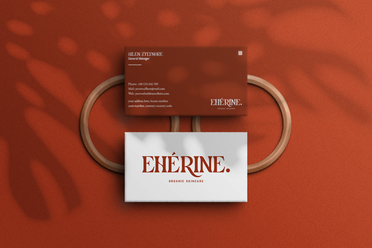 Clarissa Modern Classy Serif Font - Image 4