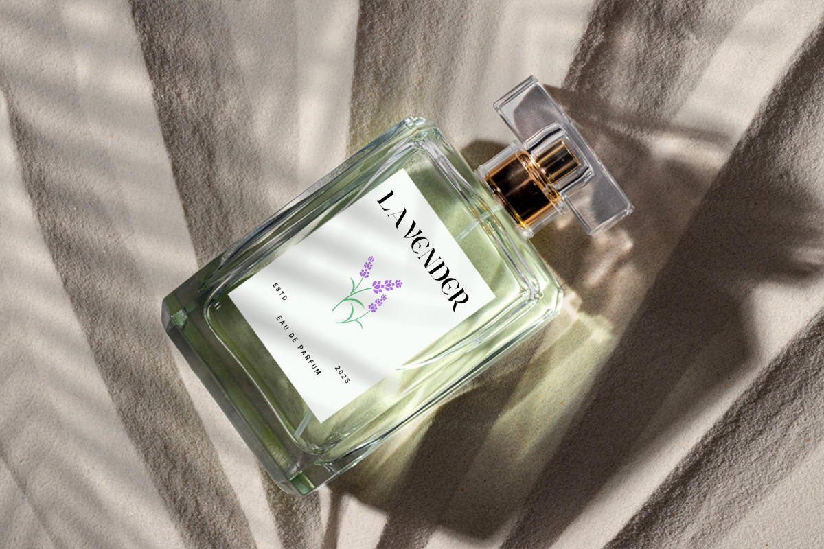 Zasquora Modern Classy Serif Font - Image 3