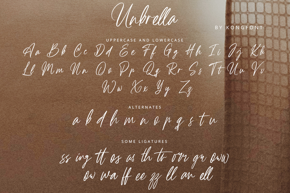 Unbrella Modern Handwritten Font - Image 8