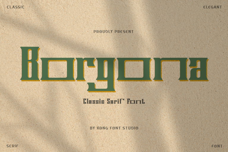 borgona-modern-classy-display-vintage-font-font-kong