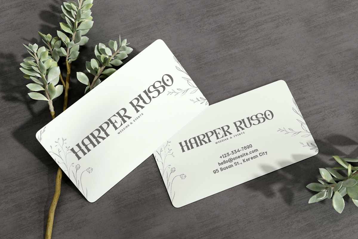 Drivzen Modern Classy Unique Serif Font - Image 3