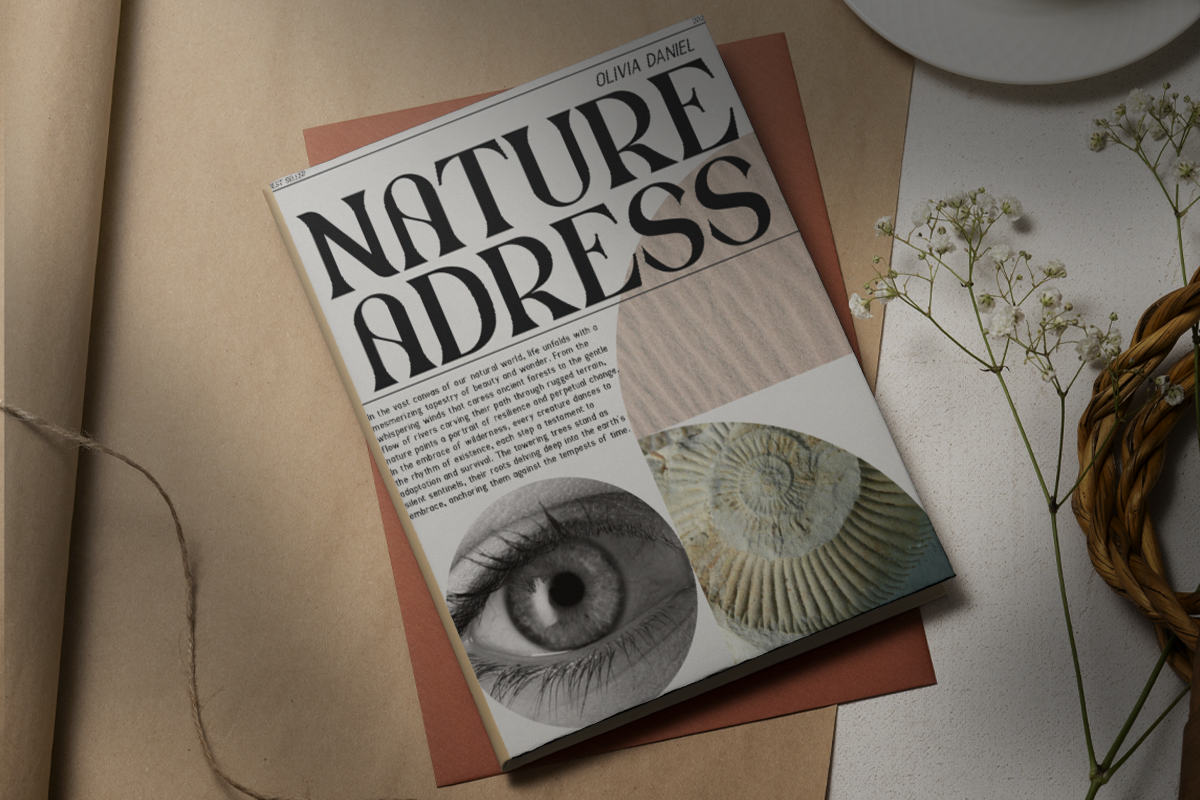 Drivex Modern Classy Unique Serif Font - Image 3