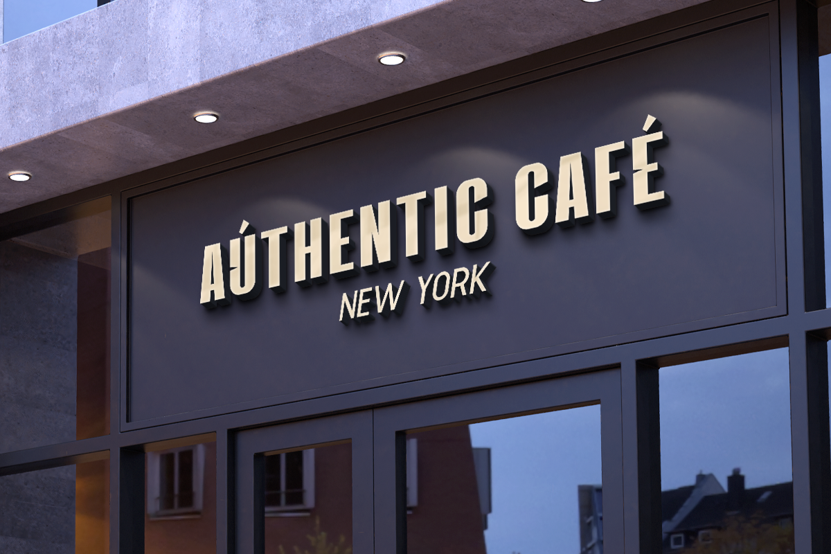 Survalyn Modern Classy Sans Serif Font - Image 3