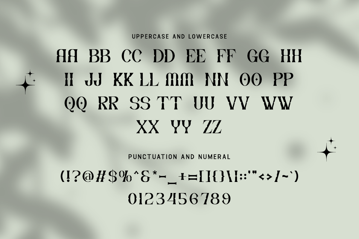 Drivzen Modern Classy Unique Serif Font - Image 5