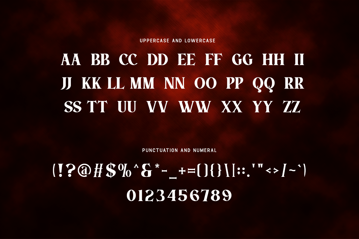 Aostora Modern Classy Serif Film Font - Image 5