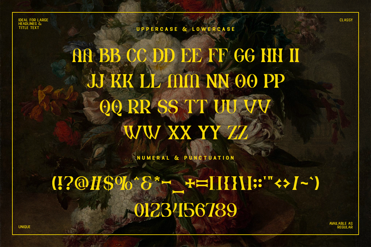 Drivex Modern Classy Unique Serif Font - Image 5