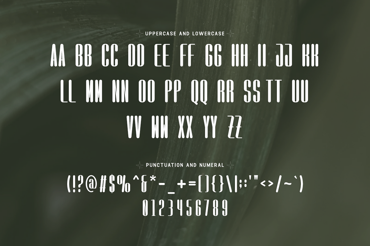 Floresta Modern Classy Sans Serif Font - Image 5