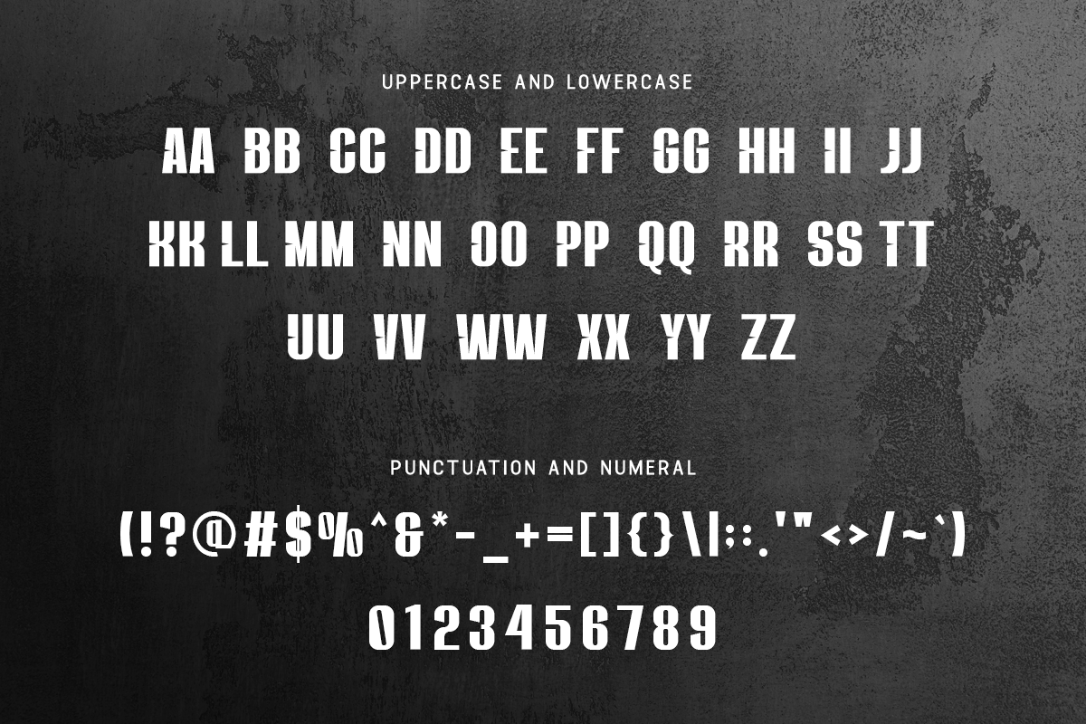 Survalyn Modern Classy Sans Serif Font - Image 5