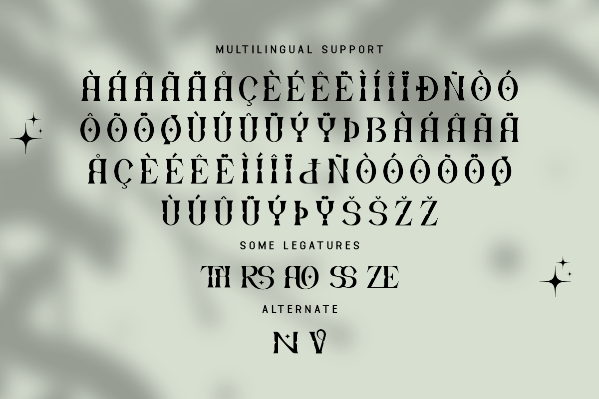 Drivzen Modern Classy Unique Serif Font - Image 6