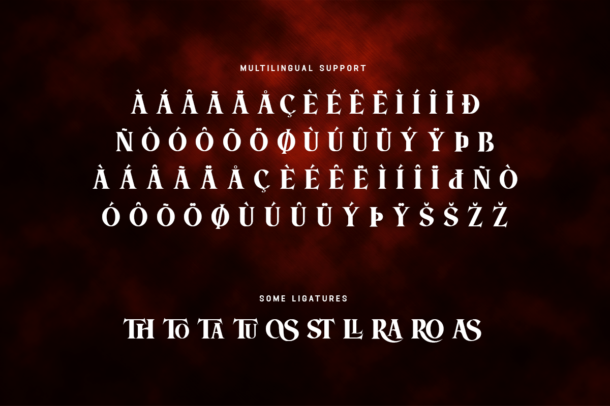 Aostora Modern Classy Serif Film Font - Image 6