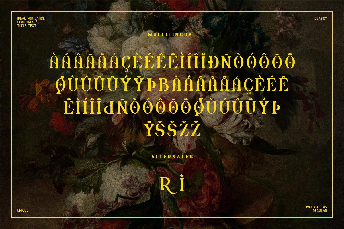 Drivex Modern Classy Unique Serif Font - Image 6