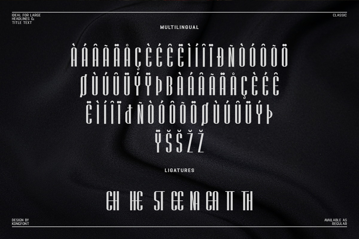 Sereena Modern Classy Sans Serif Font - Image 6