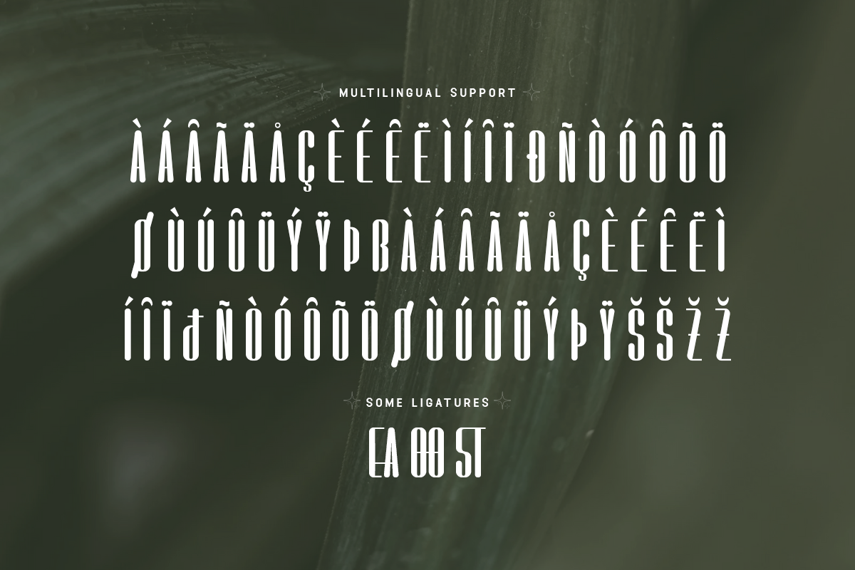 Floresta Modern Classy Sans Serif Font - Image 6