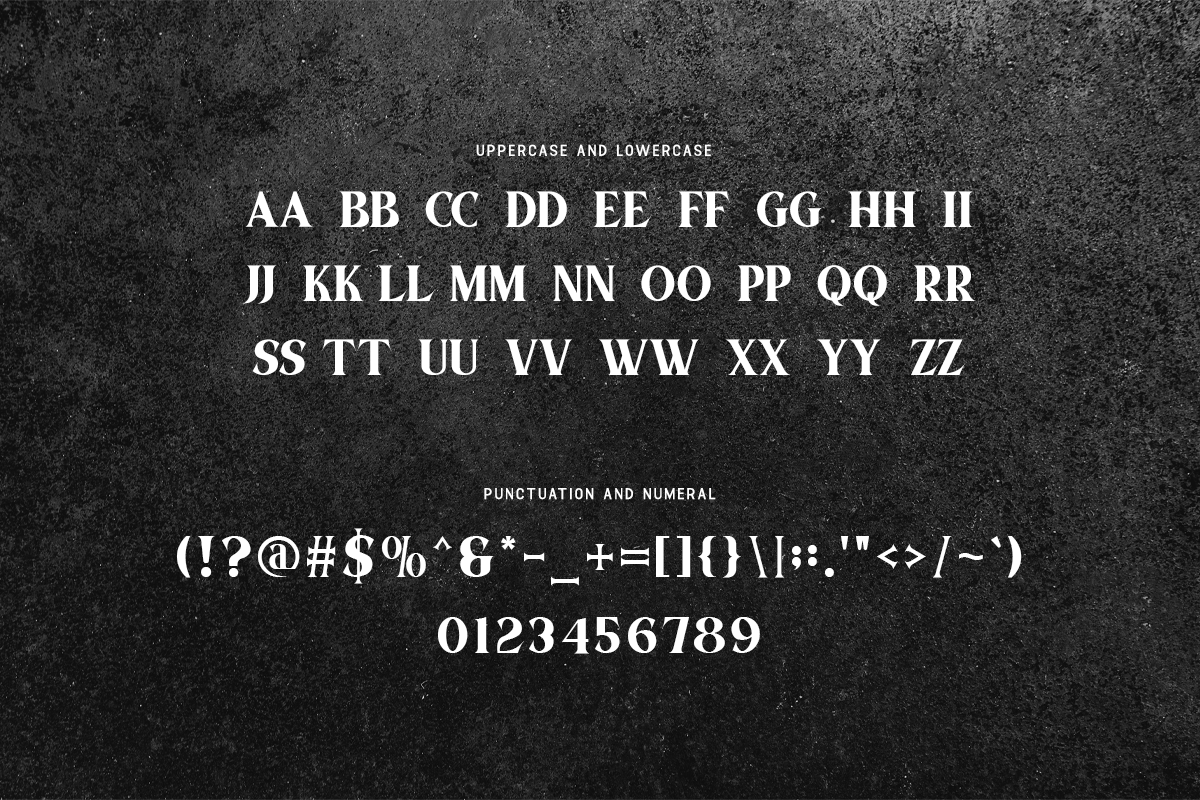 Aostiva Modern Classy Serif Font - Image 5