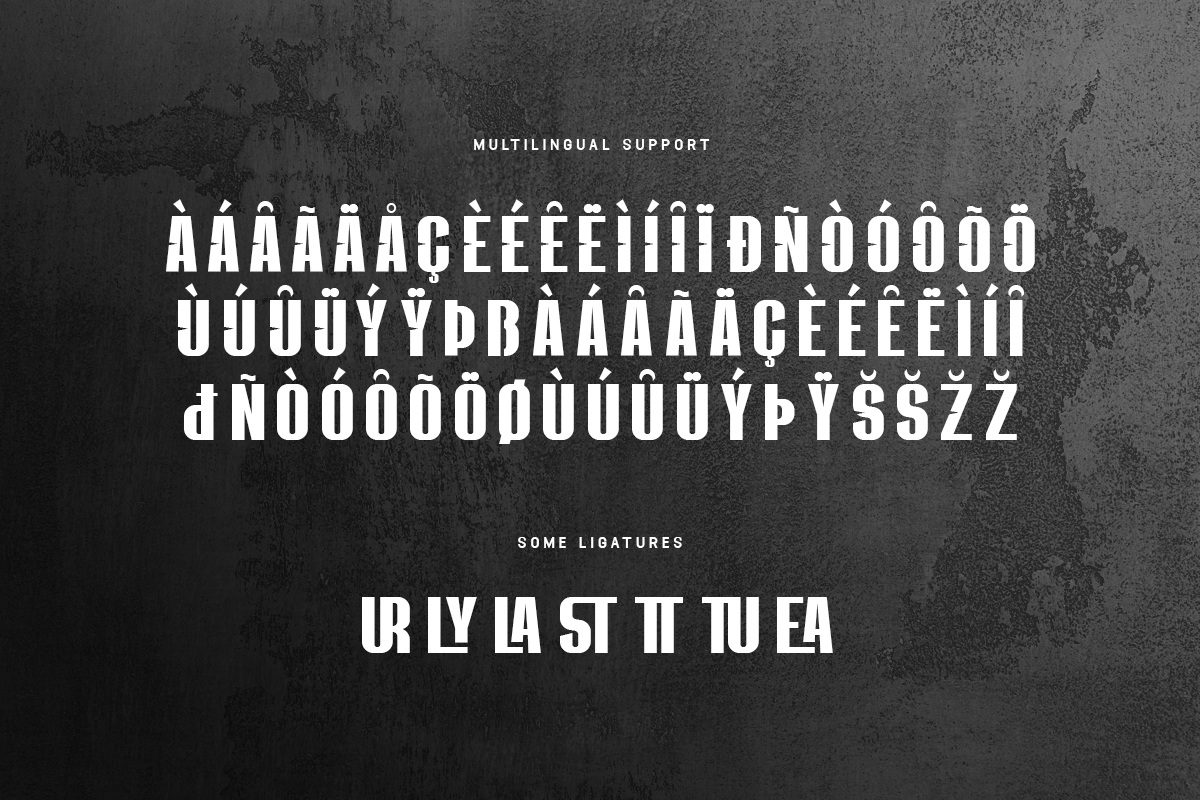 Survalyn Modern Classy Sans Serif Font - Image 6