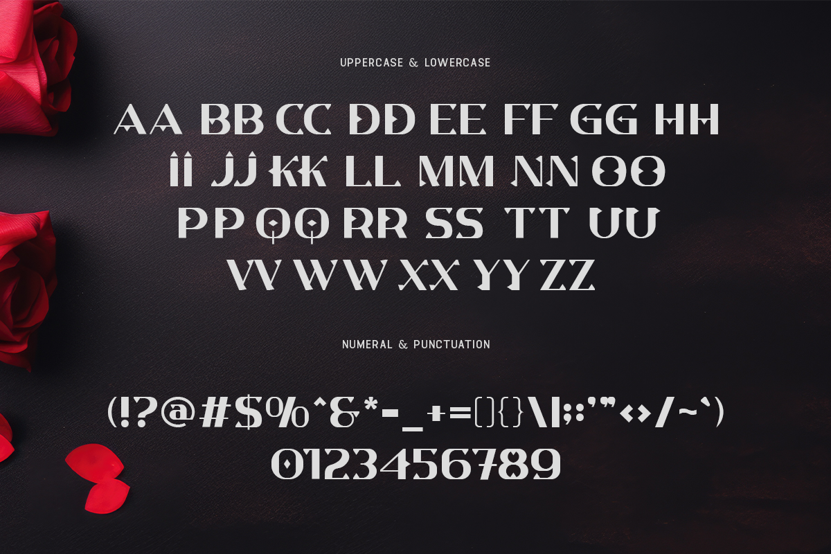 Cryptonix Modern Classy Display Film Font - Image 6
