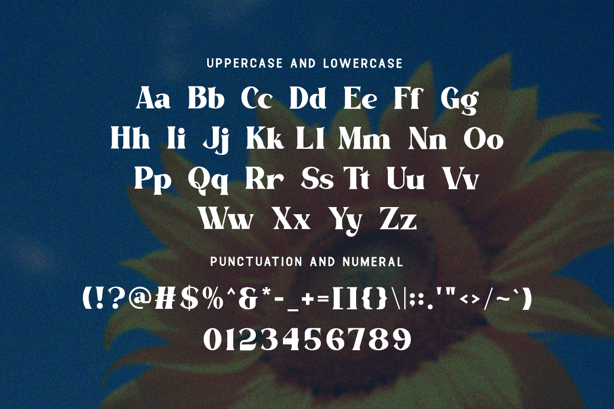 Daylight Modern Classy Vintage Serif Font - Image 6