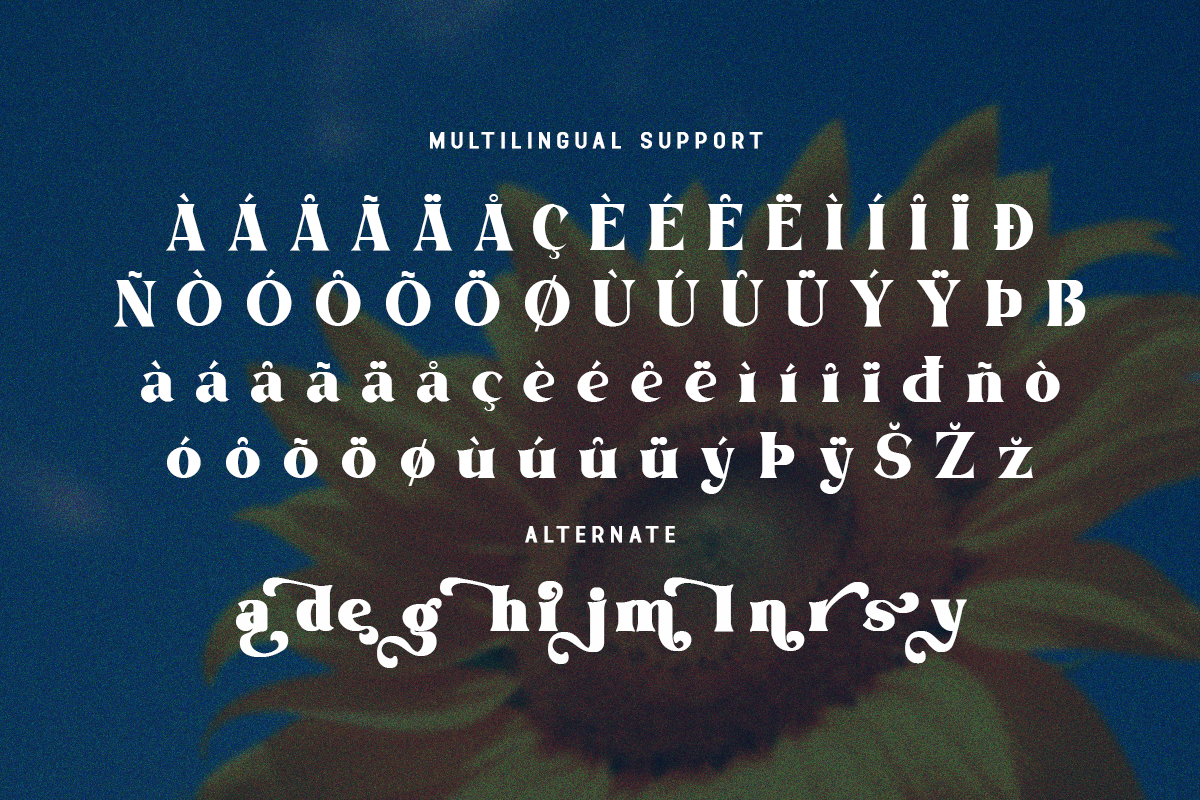 Daylight Modern Classy Vintage Serif Font - Image 7