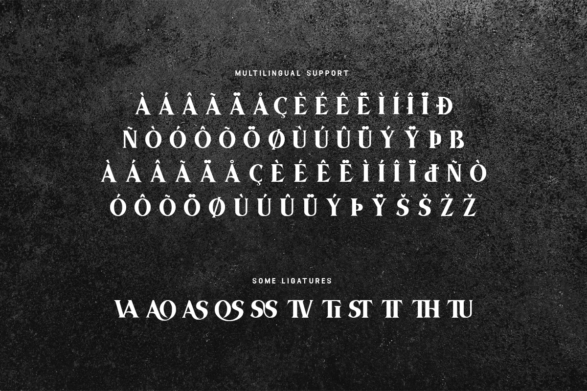 Aostiva Modern Classy Serif Font - Image 6