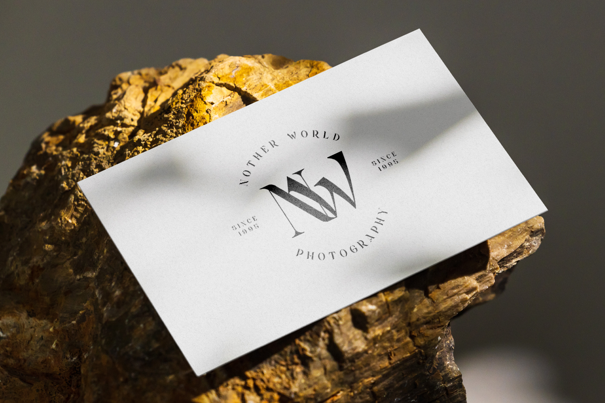 Zasque Modern Luxury Unique Serif Font - Image 3