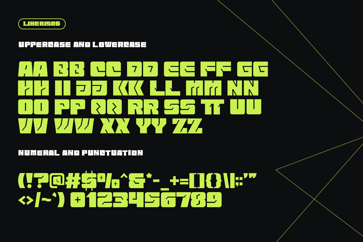 Liberisco Modern CLasy Unique Sans Serif Font - Image 5