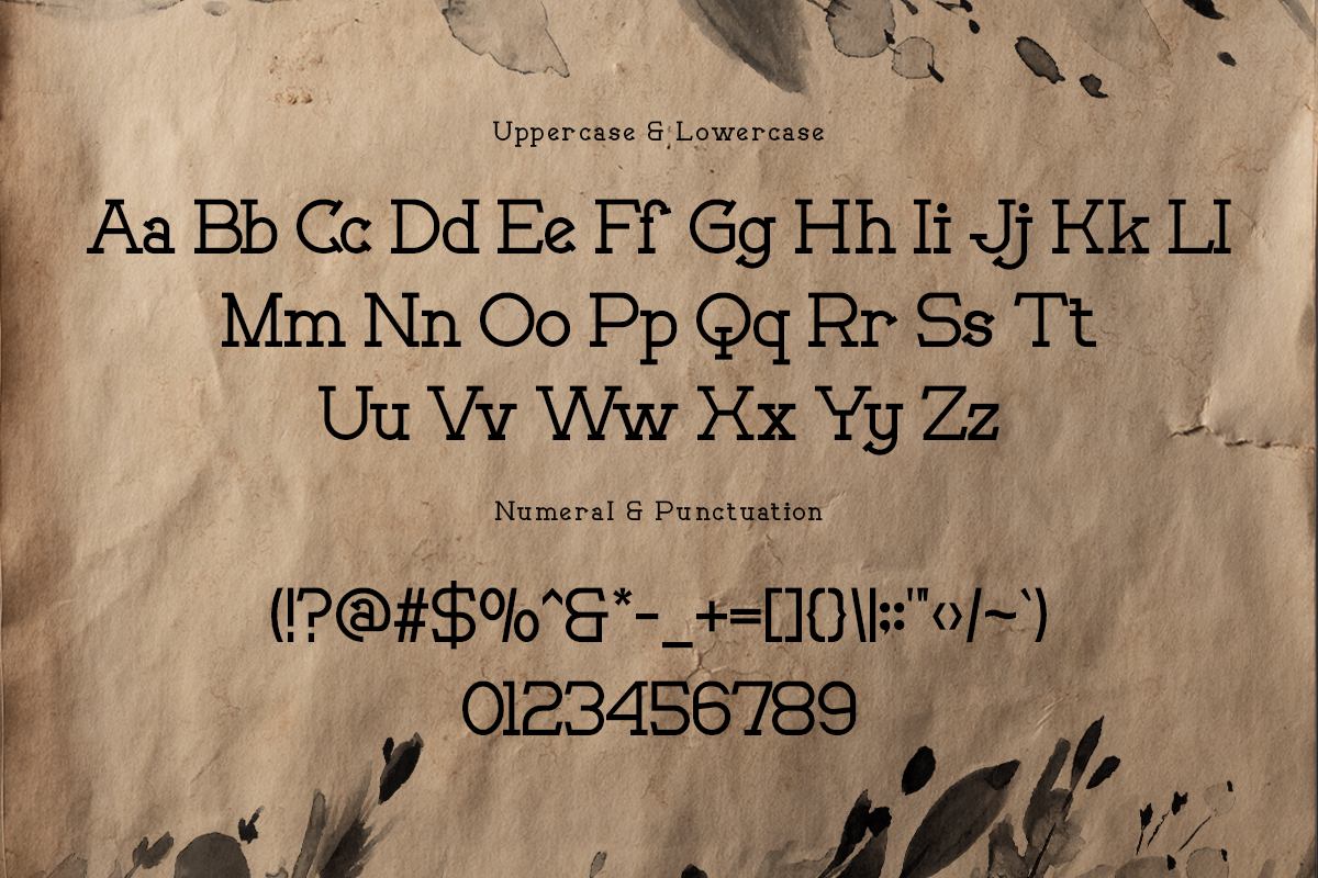 Movien Modern Classy Serif Font - Image 5