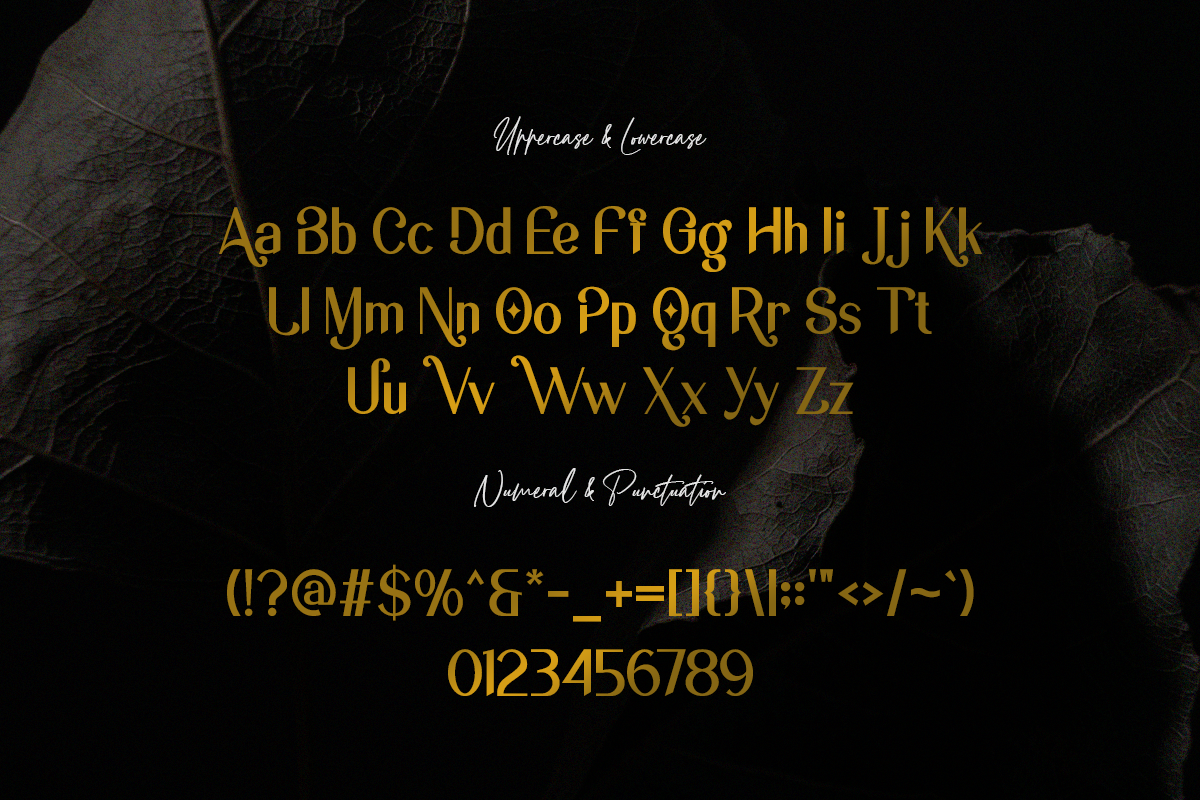 Copacovie Modern Classy Unique Sans Serif Font - Image 5