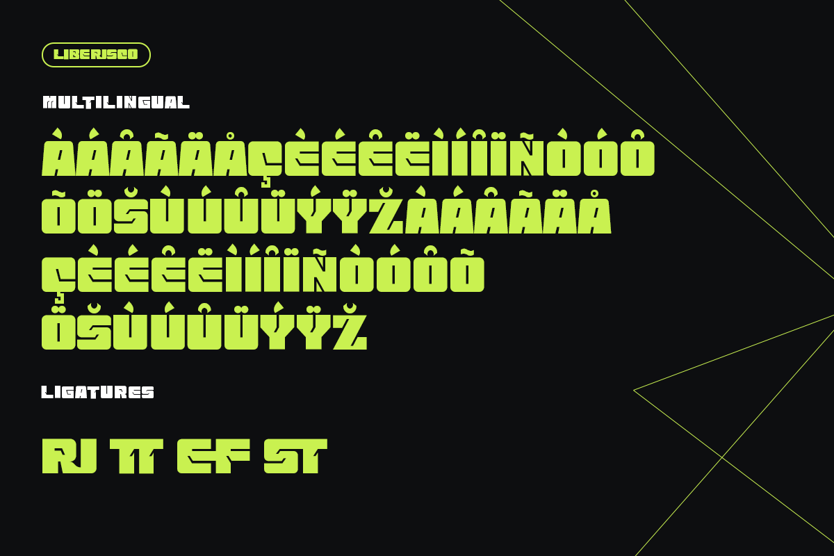 Liberisco Modern CLasy Unique Sans Serif Font - Image 6