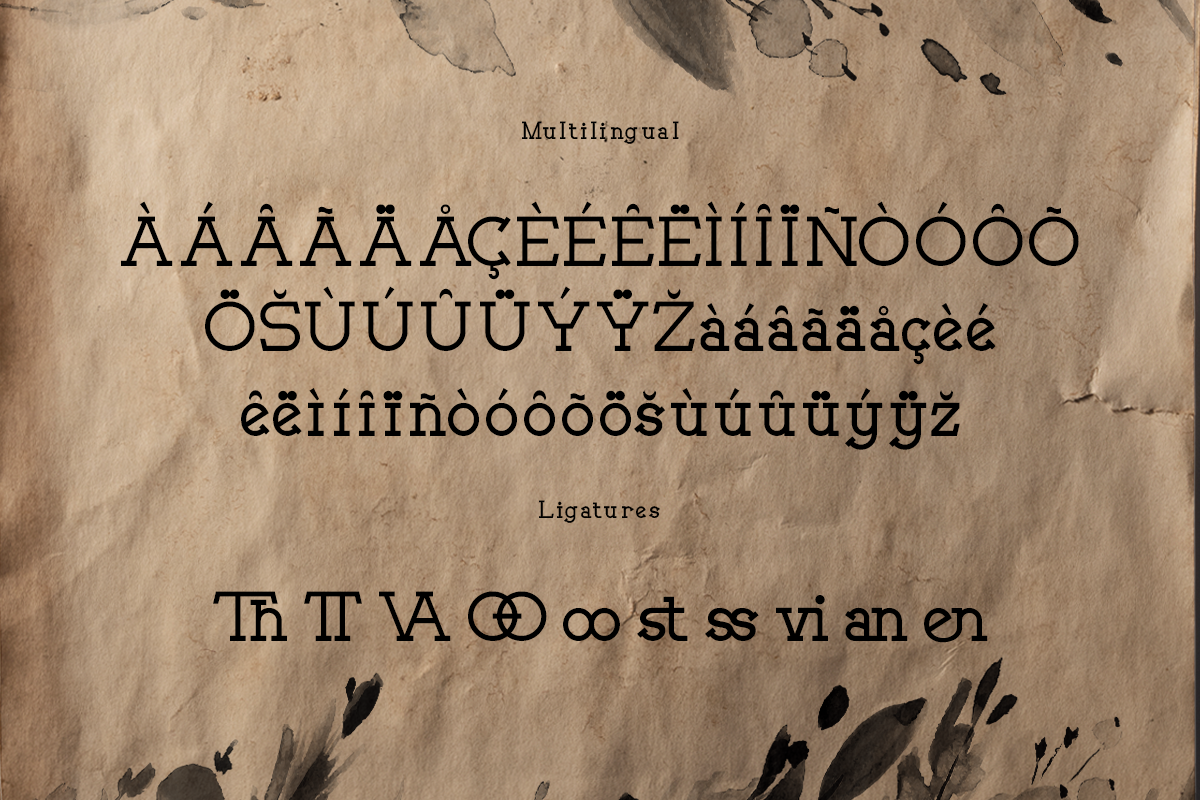 Movien Modern Classy Serif Font - Image 6