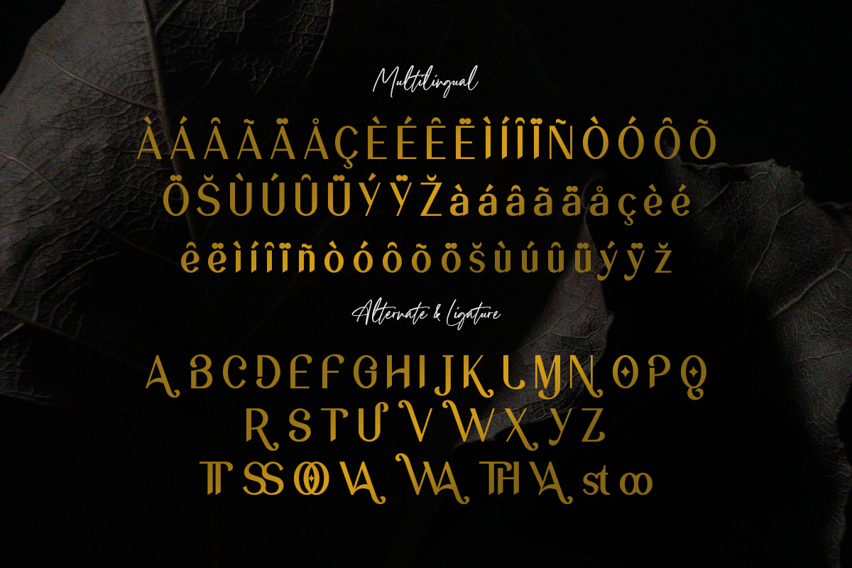 Copacovie Modern Classy Unique Sans Serif Font - Image 6