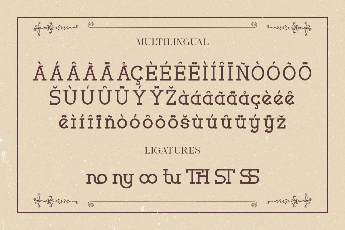 Moveiny Modern Classy Serif Font - Image 6