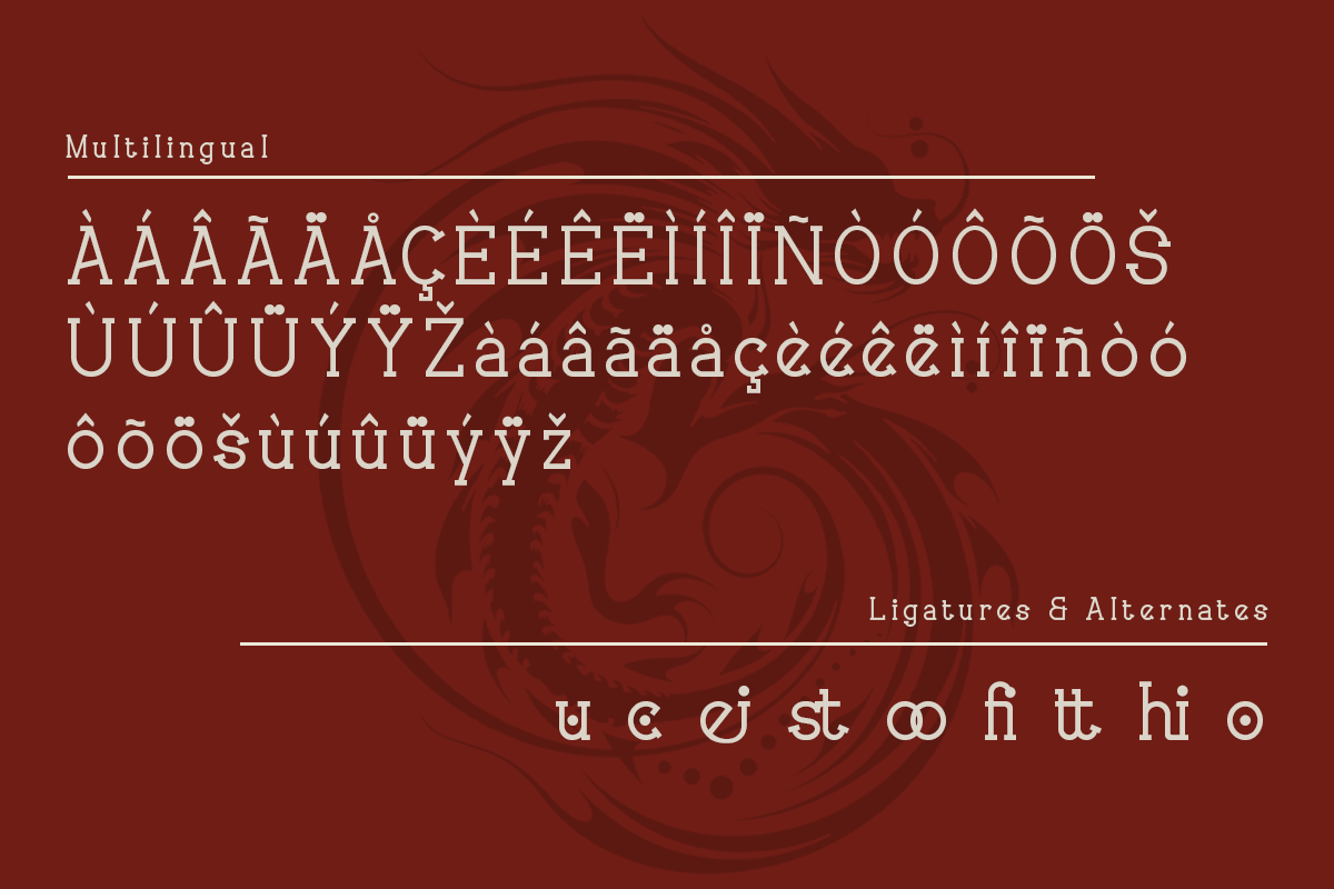 Moveina Modern Classy Serif Font - Image 6