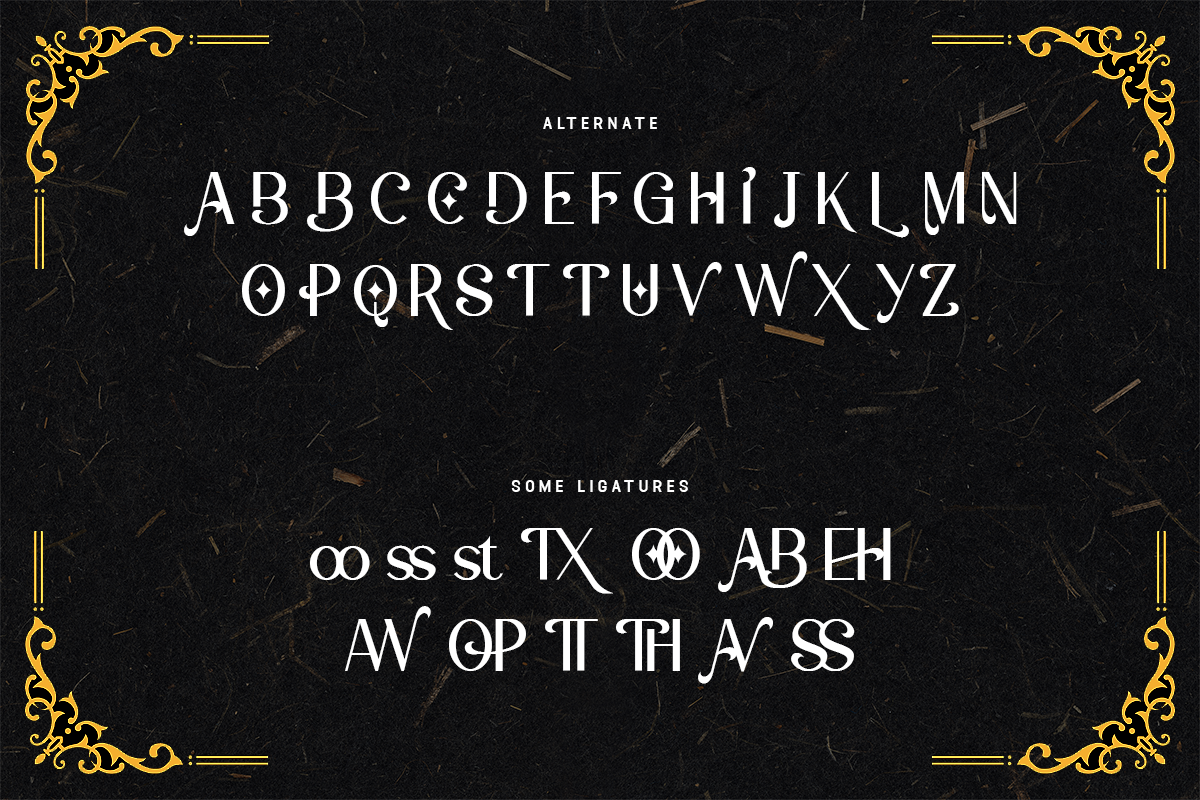 Copawave Modern Unique Sans Serif Font - Image 8