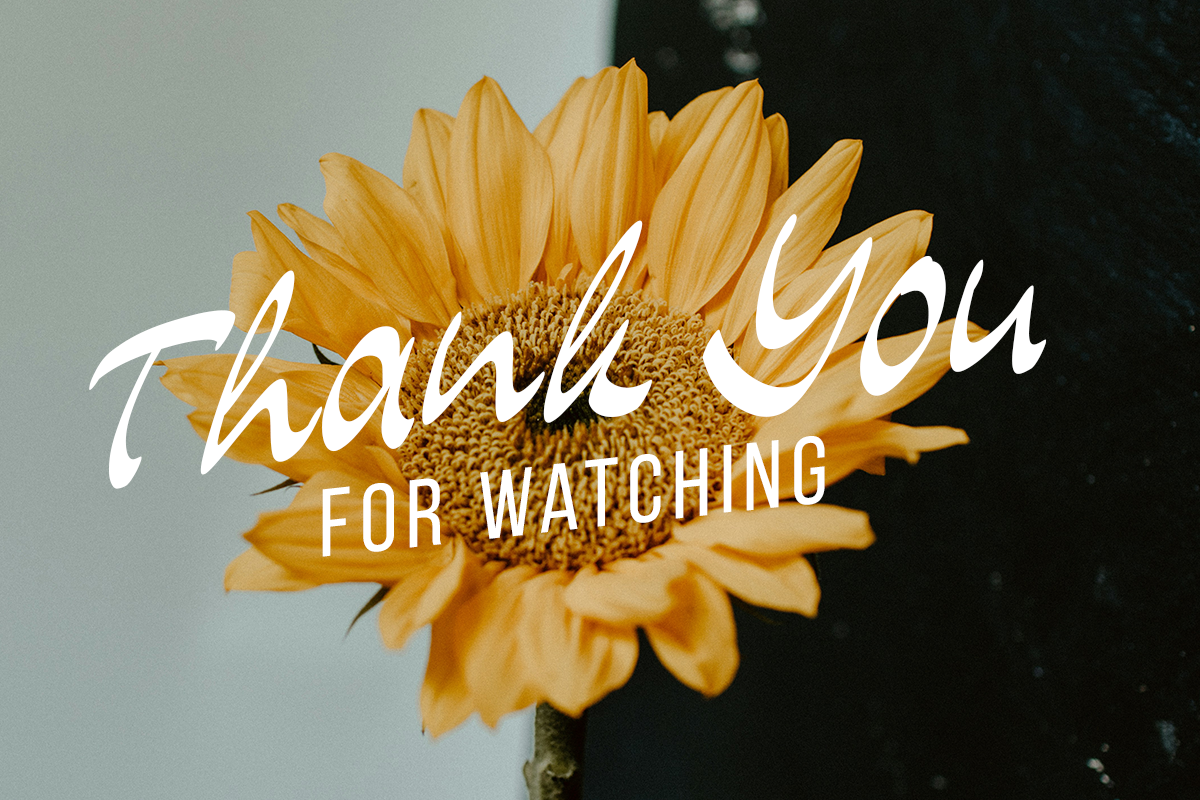 Tacoya Modern Handwritten Script Font - Image 9