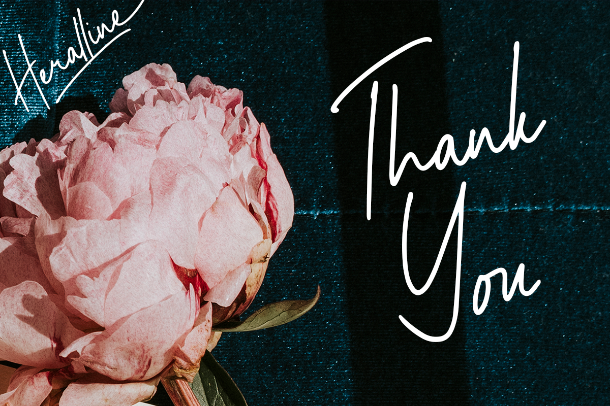 Heralline Modern Handwritten Script Font - Image 8