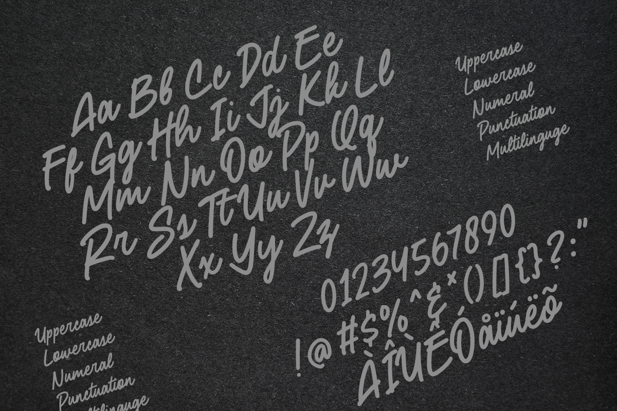 Steve Buck Modern Handwritten Script Font - Image 8