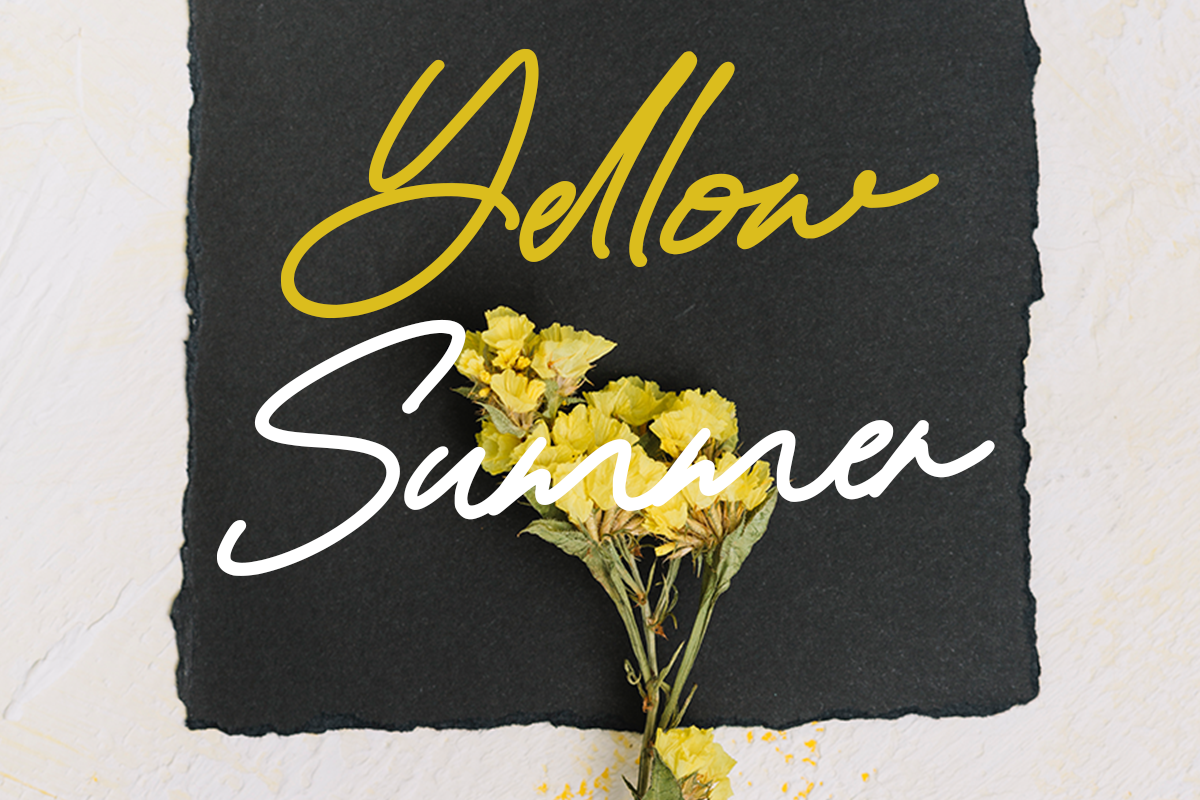 Rosallina Script A Modern Script Font - Image 3