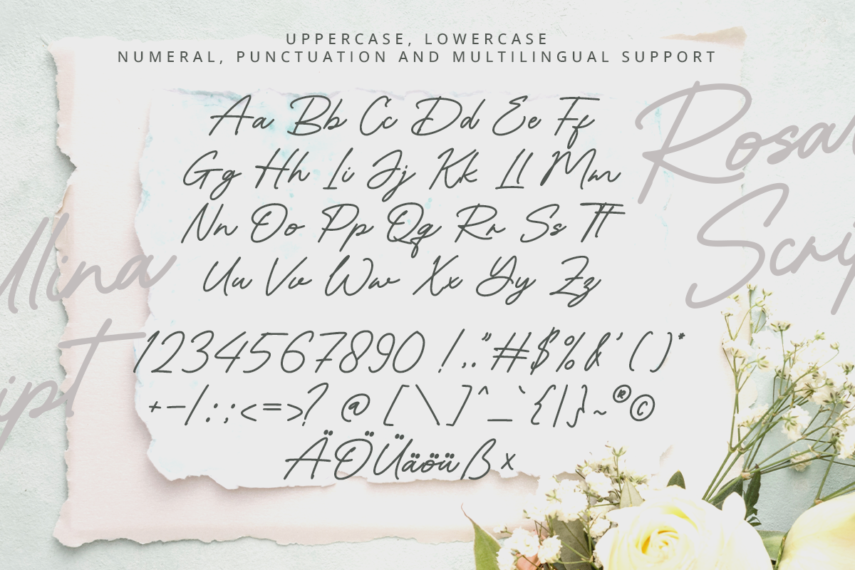 Rosallina Script A Modern Script Font - Image 7