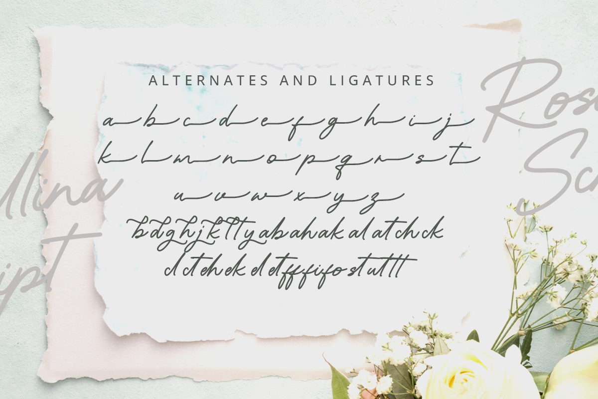 Rosallina Script A Modern Script Font - Image 8