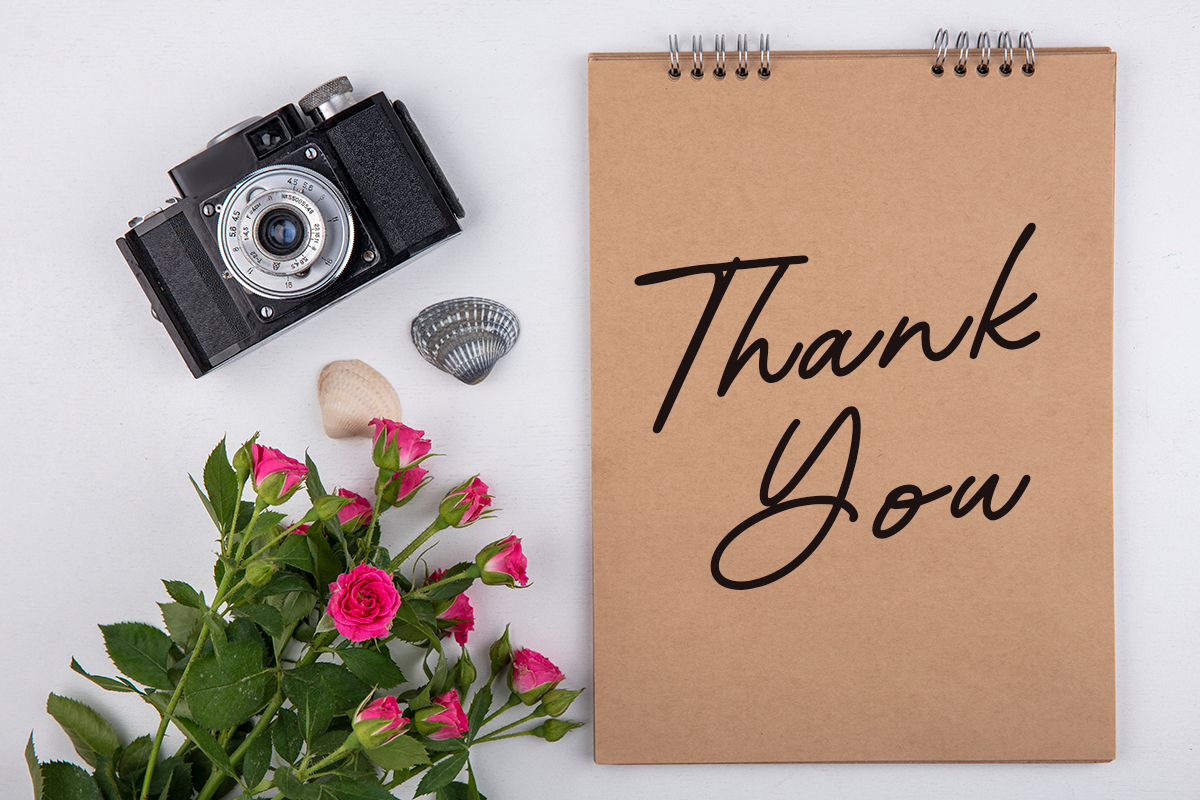 Rosallina Script A Modern Script Font - Image 9