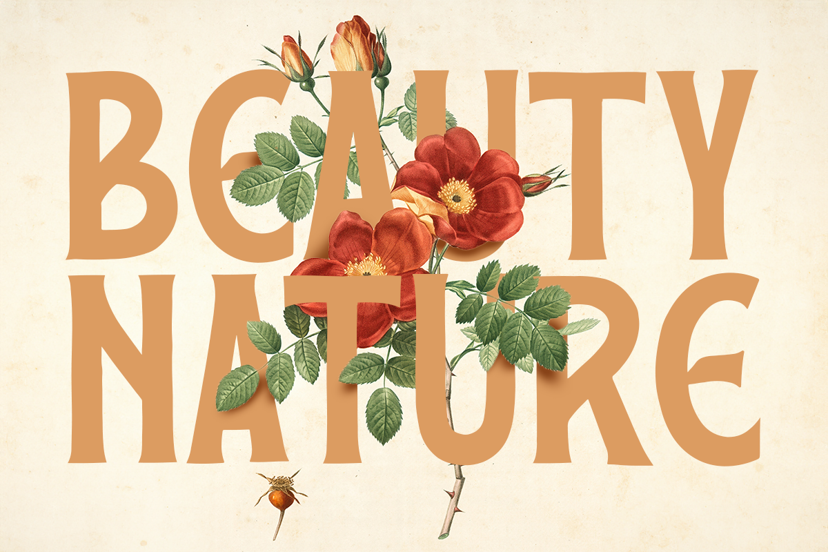 Shade A Modern Display Font - Image 3