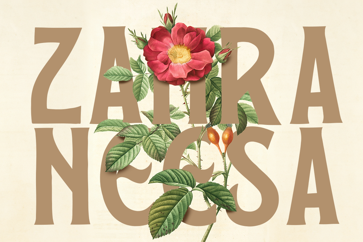 Shade A Modern Display Font - Image 4