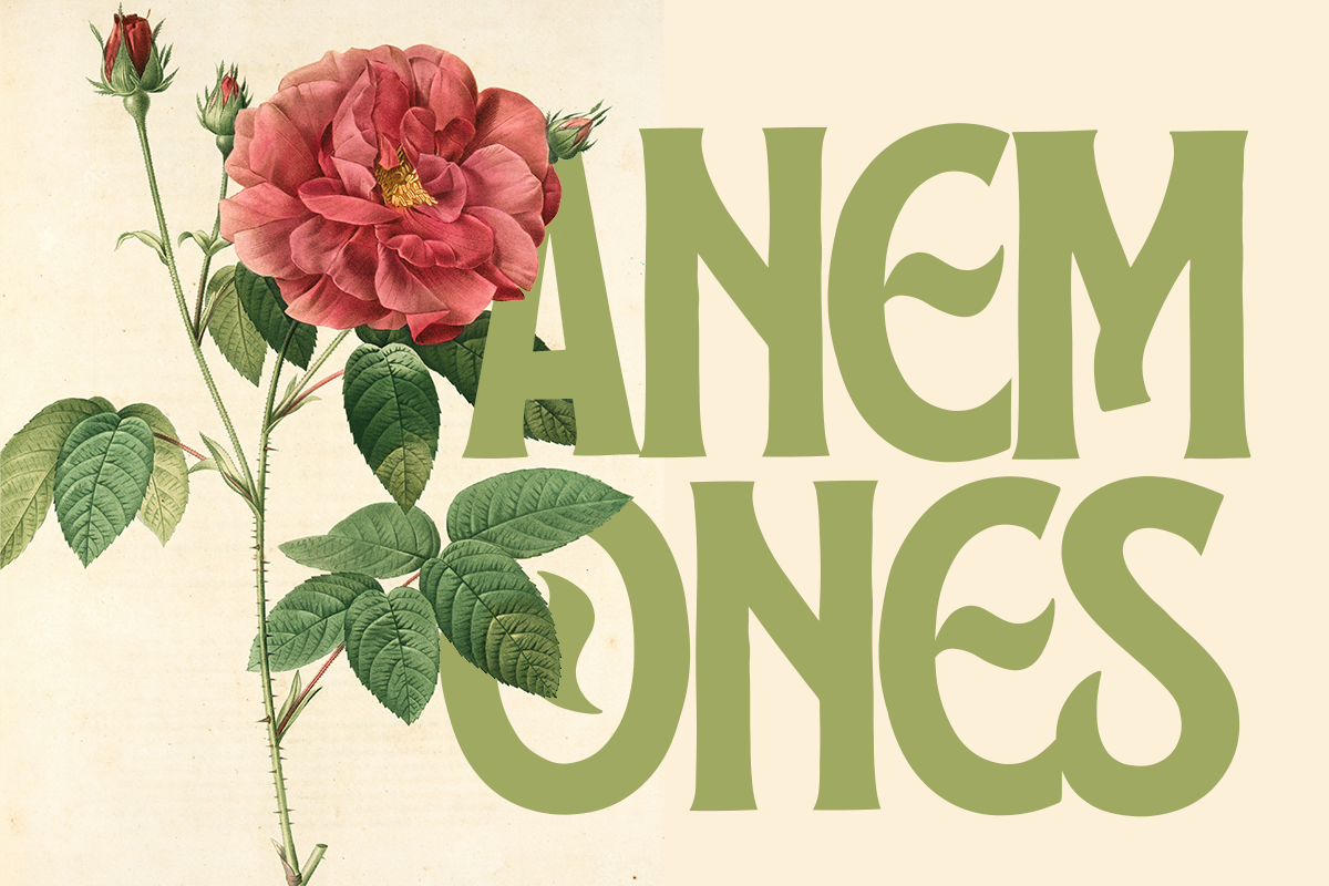 Shade A Modern Display Font - Image 5