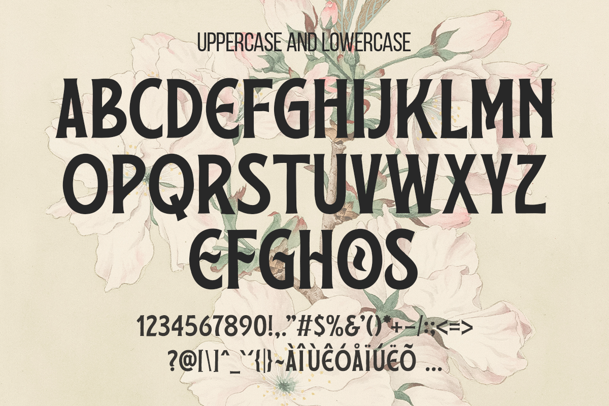 Shade A Modern Display Font - Image 6